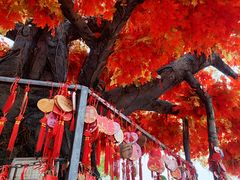 -芜湖方特东方神画