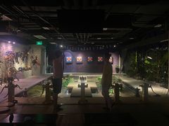 -轻武堂传统射箭·功夫茶·射击体验馆(仁和新城店)