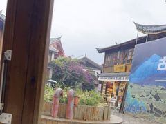 -木王宴语·野生鲜菌火锅(玉河店)