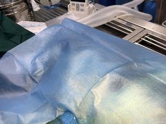 -福懋动物医院·犬猫全科·外科·重症科(杏林分院)