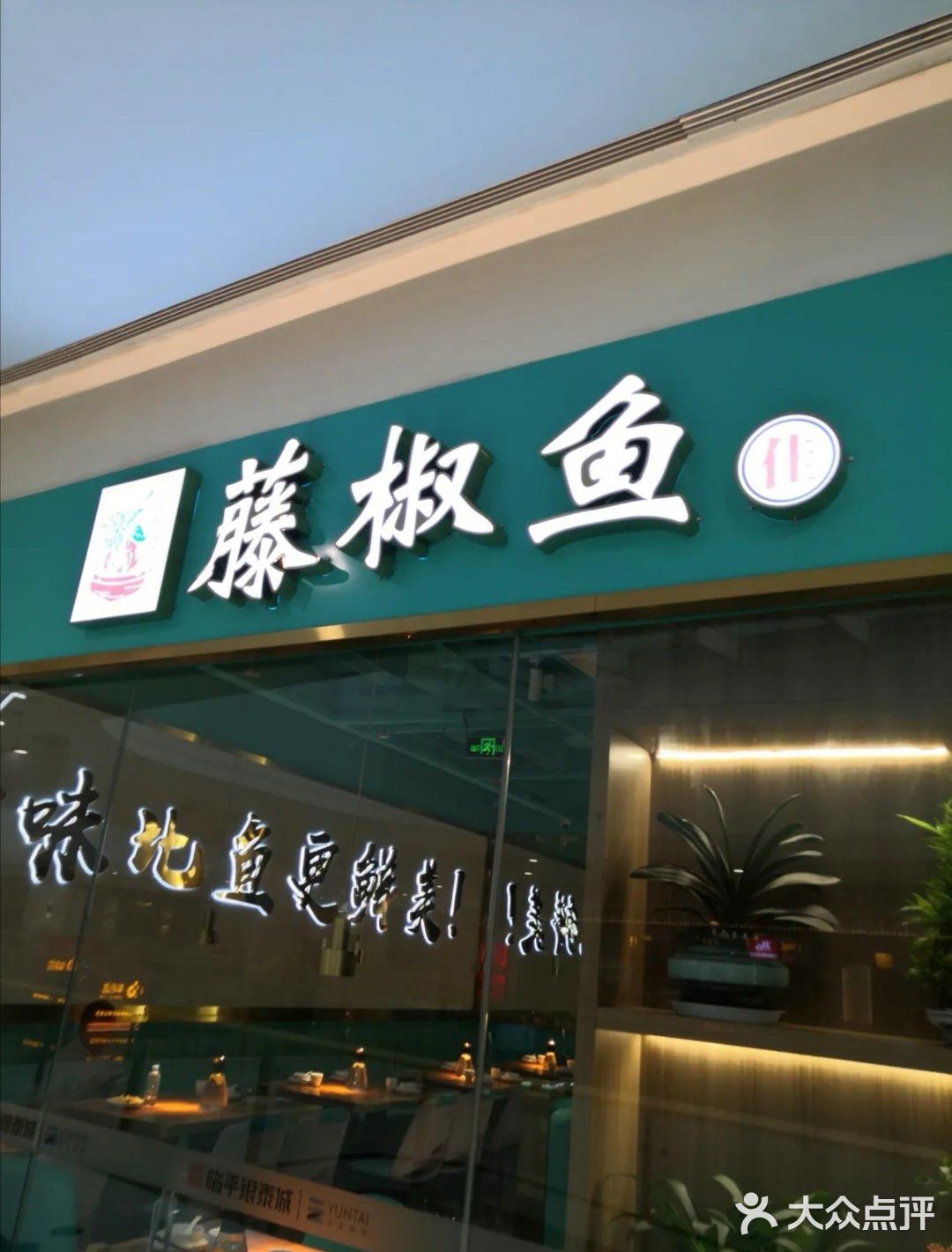 这里的鱼太好吃啦