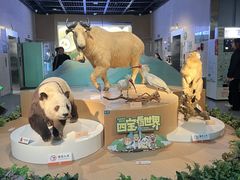 -陕西自然博物馆