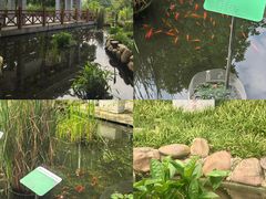 -广东中医药博物馆