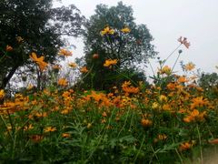 -艾溪湖湿地公园