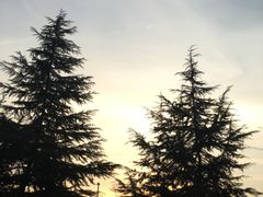 -武钢体育中心恒温游泳馆