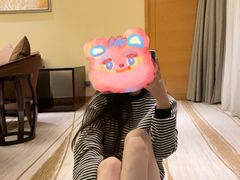 -廊坊固安福朋喜来登酒店