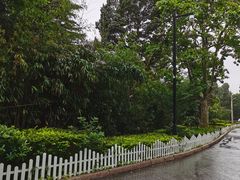 -青岛德国总督楼旧址博物馆