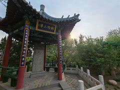 -桃花堤公园