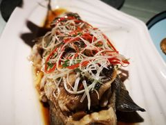 -驿舍·民國老营房院子私房菜(科学会堂店)