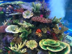 -成都浩海立方海洋公园