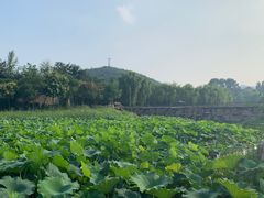 -石家庄市动物园