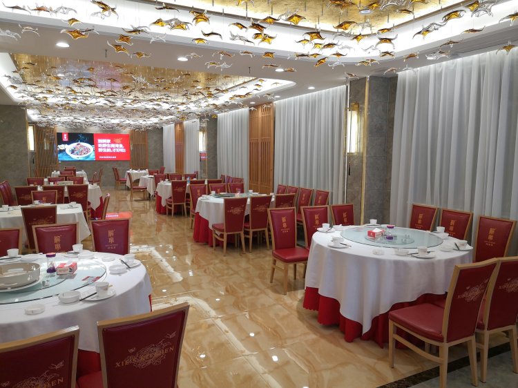 解家河南菜,地道老郑州,豫菜扛把子