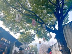 -惠山古镇·寄畅园