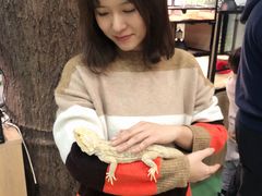 -藦茜花园宠物主题亲子互动体验馆(国顺东路店)