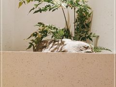 -蜜桃餐厅·伴山(绿宝广场店)