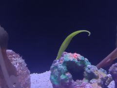 -上海海洋水族馆