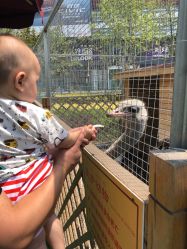 -萌宠亲子动物乐园(槐房万达店)