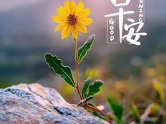 -聚丰园.百年传承(五爱广场店)