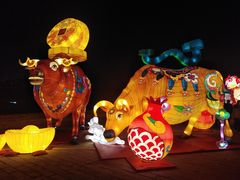 -西安城墙·碑林历史文化景区