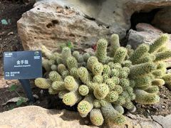 -国家植物园南园