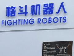 -中国宋庆龄青少年科技文化交流中心