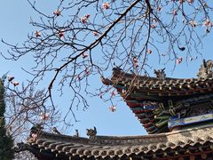 -碑林公园