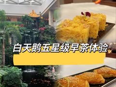 -白天鹅宾馆-宏图府餐厅