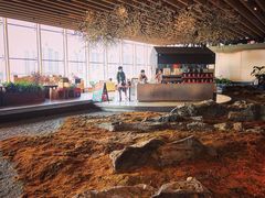 -Seesaw Coffee(朝阳大悦城店)