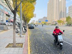 -丰台科技园生态主题公园
