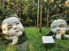 -东平国家森林公园