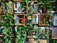 -ZING COFFEE 镜咖啡