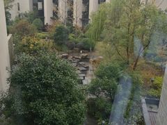 -上海崇明金茂凯悦酒店