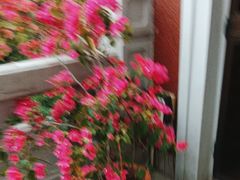 -杭州香格里拉·香宫中餐厅