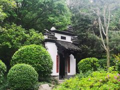 -红梅公园