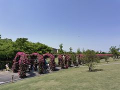 -广富林郊野公园