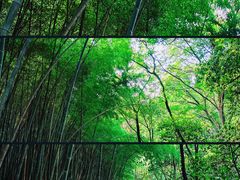 -穹窿山景区
