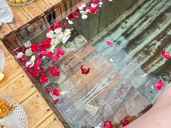 -金孔雀温泉旅游度假村