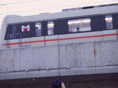 -海堤纪念公园