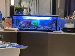 -济南凯宾斯基酒店-THE VIEW云景全日制餐厅