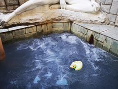 -北京美神宫艺术主题温泉酒店