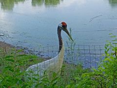 -沈阳森林动物园