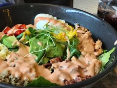 牛油果鸡肉沙拉-彼德西餐厅(凯德广场新南店)