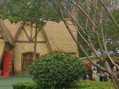 -合肥滨湖国家森林公园