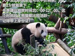-王婆婆老妈蹄花川菜馆·非物质文化遗产(太古里一店)