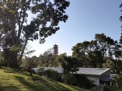 -深圳仙湖植物园