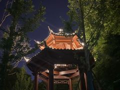 -杜甫江阁