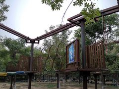 -永定河休闲森林公园