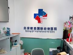 -欧奕国际动物医院