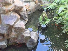 -水岸居湖景农家乐·阳澄湖大闸蟹