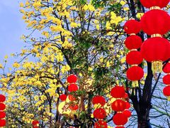 -洲头咀公园